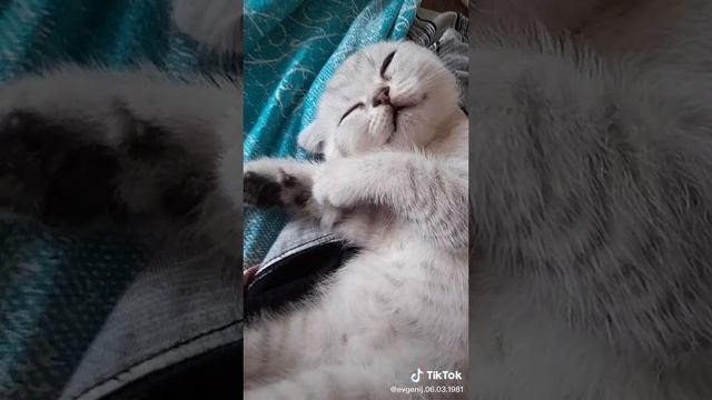 6b21a07ec19464ed0931b78b1372c108.mp4