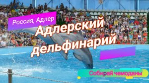 Адлерский дельфинарий (Россия, Адлер)