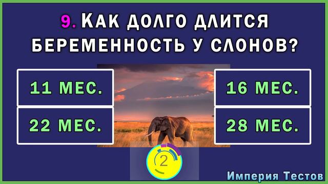 НАПРЯГИТЕ МОЗГ, ответив на вопросы ТЕСТА НА ЭРУДИЦИЮ и КРУГОЗОР. #насколькостарвашмозг #викторина
