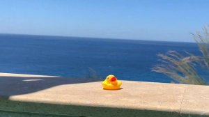 Toy Duck Crush and Dragon Walkover Crush Fetish Casual Trample Candid Closed Shoe Ballerinas Flats