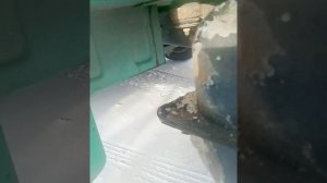 Кастомные диски сцепления от ИЖСВАП. Первый отзыв.