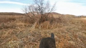 РАСКОПАЛ ФУНДАМЕНТ ДОМА МЕЛЬНИКА. МОНЕТЫ ЛЕЖАЛИ СТОПКОЙ. ЧАСТЬ 1. Коп поиск монет 2020