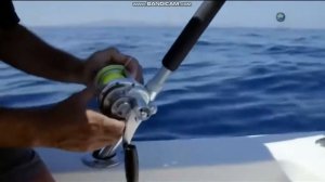 Речные монстры- Морской хищник новый сезон River Monsters