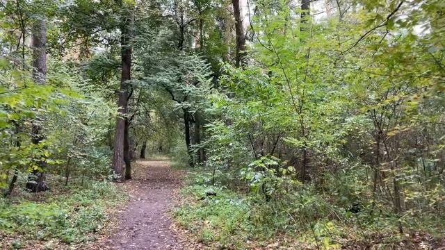 Услышав оскорбления от будущей свекрови, невестка одним ответом поставила её на место... смотреть онлайн