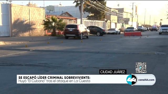 Se escapó líder criminal sobreviviente смотреть онлайн