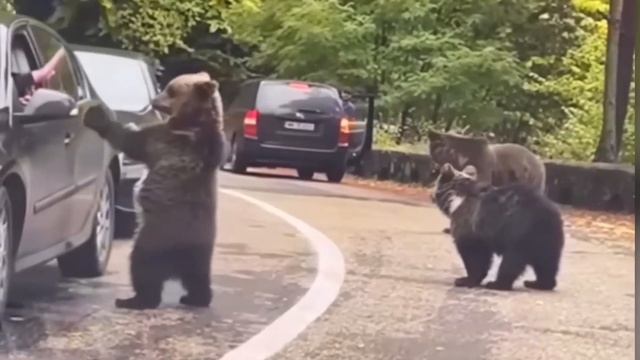 40 Случаев, когда очень повезло смотреть онлайн