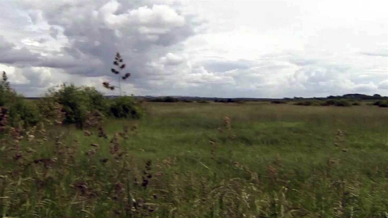 В Костромской области стартовала новая программа поддержки сельского хозяйства