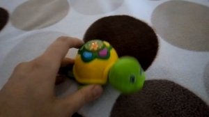 Музыкальная черепаха, игрушка - черепашка Lindo