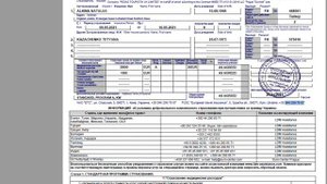 PEGAS Touristik документы для путешествий. Что важно знать.