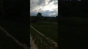 Венгерская деревня