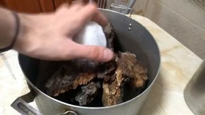 Обработка коры для террариума .