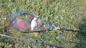 РЫБАЛКА В БУДЕННОВСКЕ ЮРИЙ