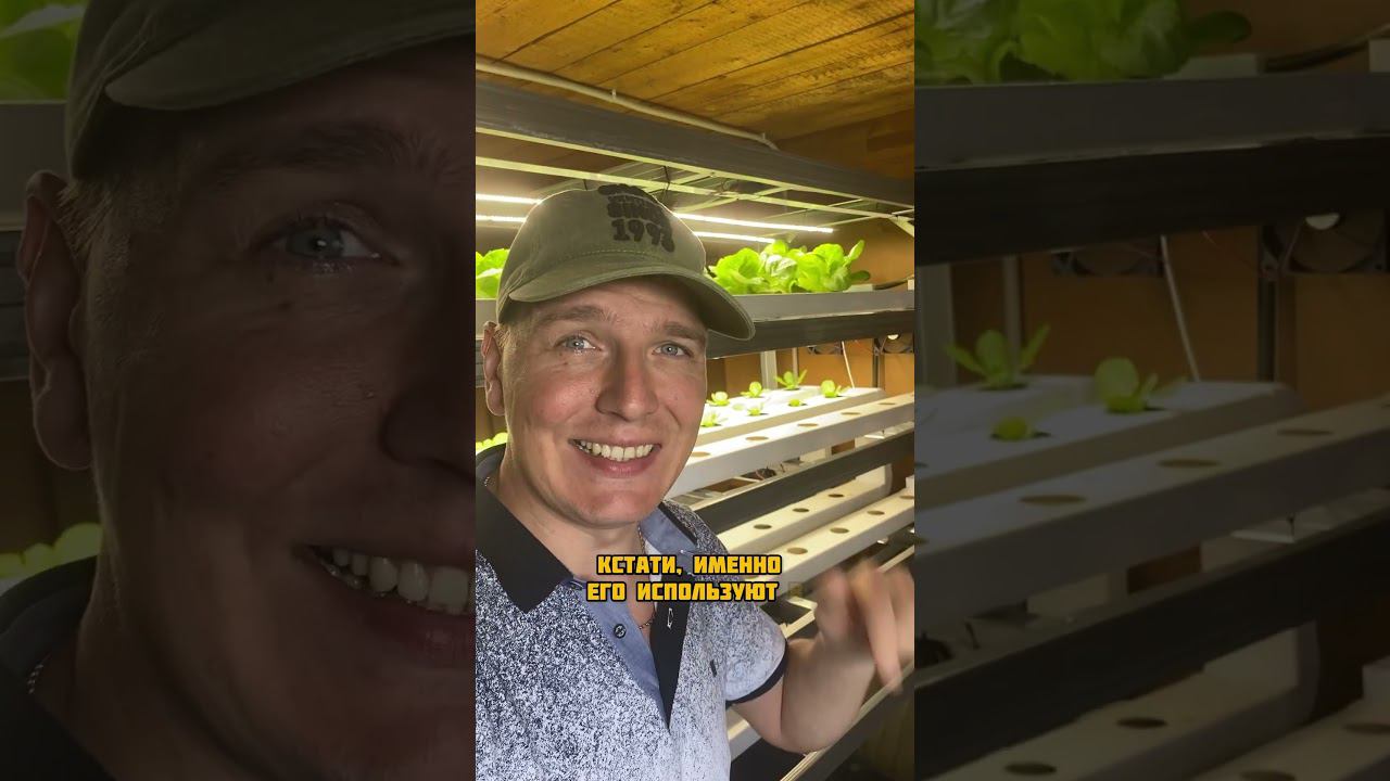 Полное видео на канале #огородкруглыйгод #микрозелень #гидропоника