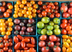 ОВОЩИ и ФРУКТЫ. ТОМАТЫ