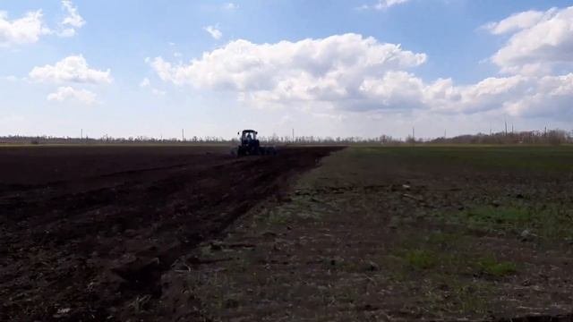 Сев подсолнечника!