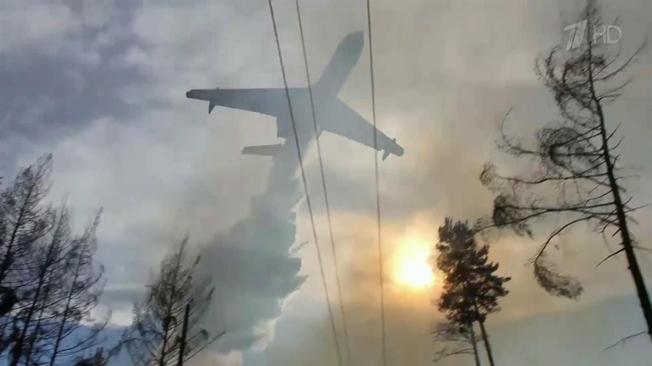 Леса горят сразу в нескольких регионах России