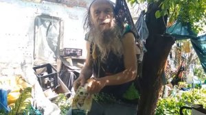 Япония - Витя Митя