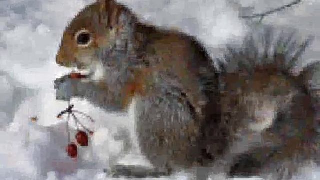 Чудеса в мастерской смотреть онлайн