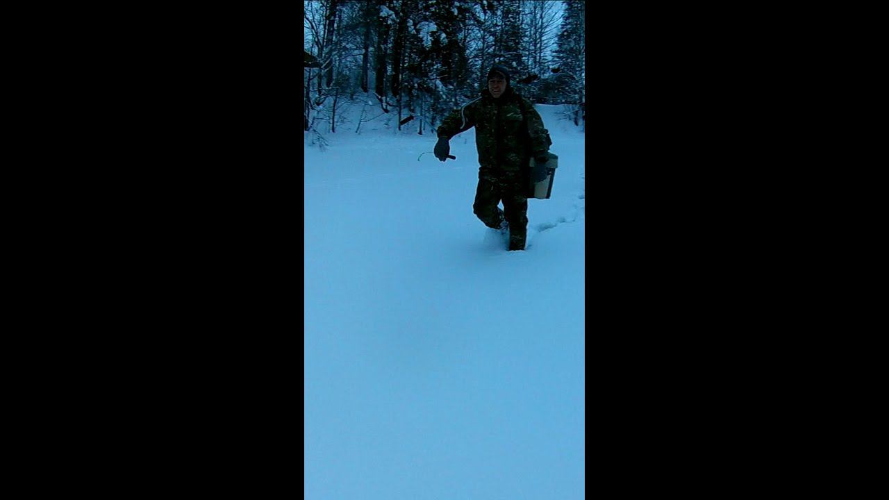 Когда спросил у рыбаков ЕСТЬ РЫБА? Такого ответа я не ожидал! #shorts смотреть онлайн