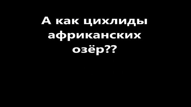 Опровержение геологии Всемирного Потопа и потверждение теории Дарвина смотреть онлайн