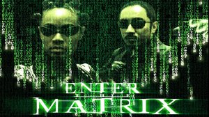 Enter the Matrix *PS 2* Stream № 1.#The streamer must suffer! #Стример должен страдать!