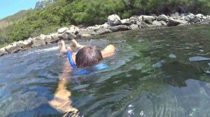 Подводный мир Южно-Китайского моря.