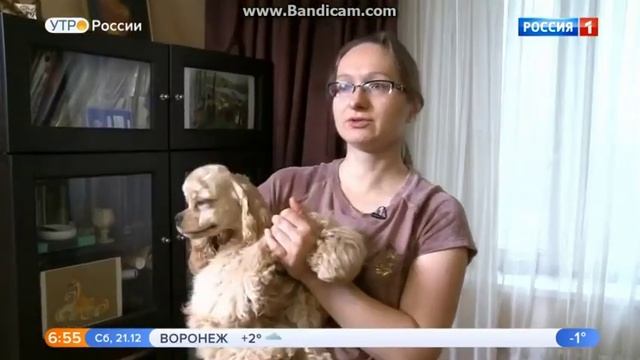 Мои хорошие знакомые,сопородники Екатерина Чеботарева,Мария Морозова канал Россия -1 программа Утро смотреть онлайн