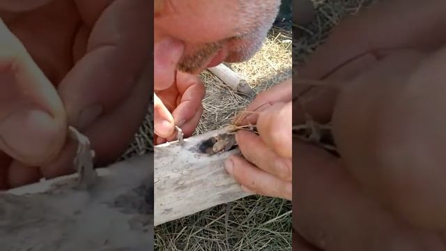 Добыча огня трением. Или чем занимаются мужчины без женщин ?
