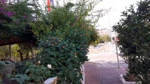 Кнопка вызова такси в Турции / Онлайн-эксперимент / Antalya
