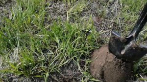 Нижегородская обл 2020, коп с xp deus на старой деревне.