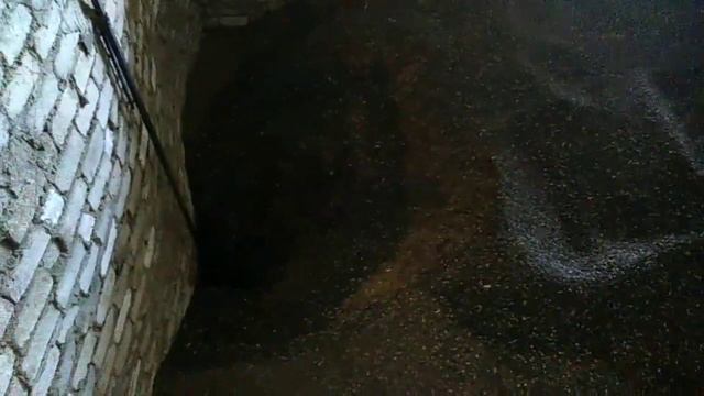 5 октября 2021 г.Уборка подсолнечника без потерь. смотреть онлайн