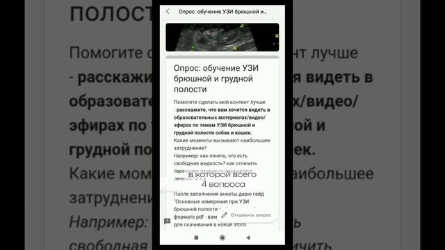 Дарю гайд Измерения в УЗИ брюшной полости собак и кошек