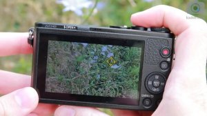 Panasonic Lumix GM1 - Обзор Сверхкомпактной Беззеркальной Фотокамеры