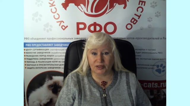 Выбраковка породистых кошек.