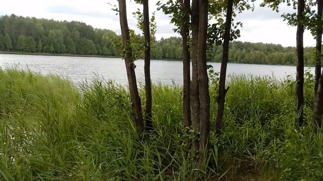 Места силы России: озеро Светлояр