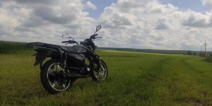 Альфа RS 12 после зимовки