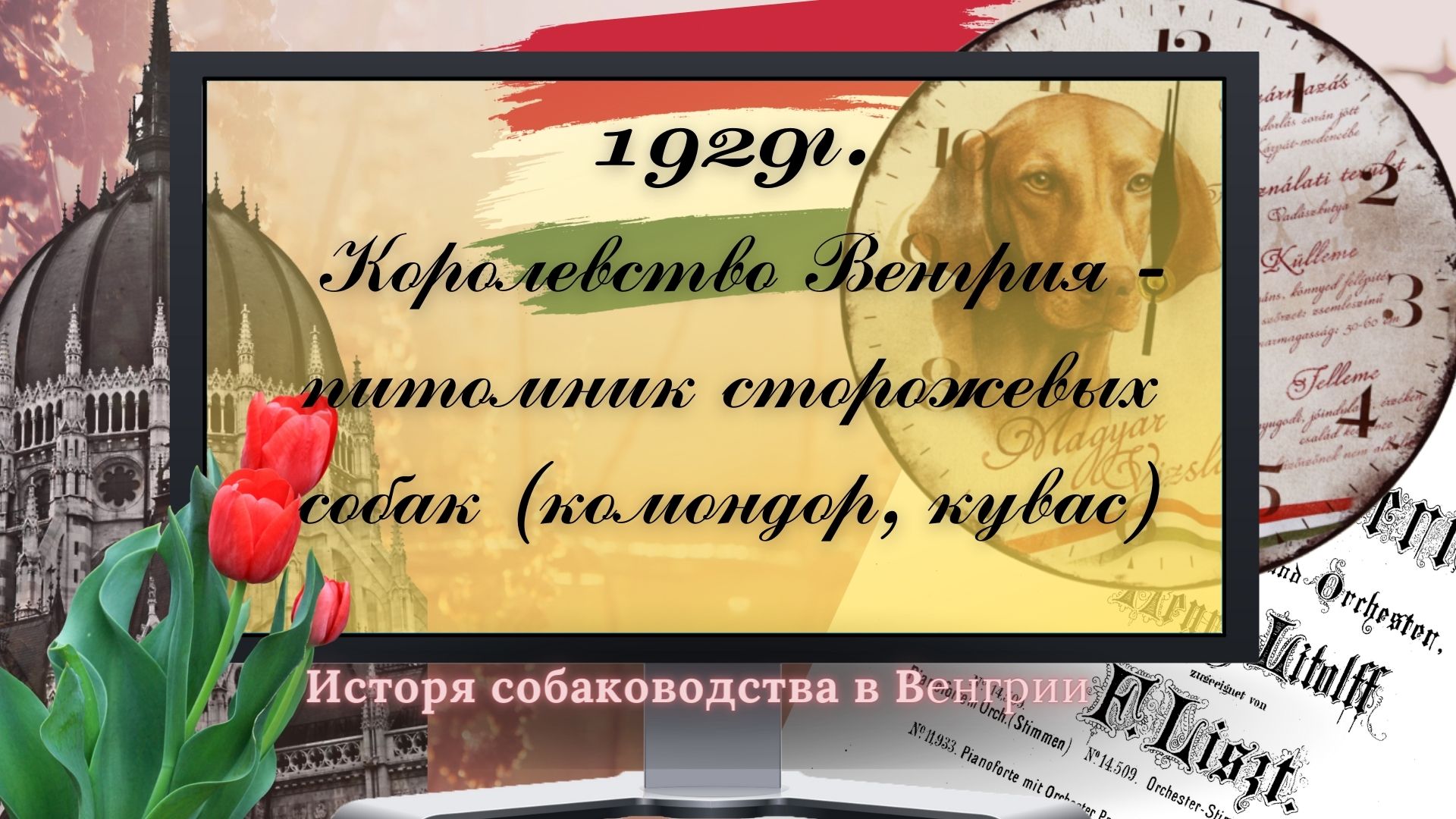 1929 Королевство Венгрия - питомник сторожевых собак (комондор, кувас)