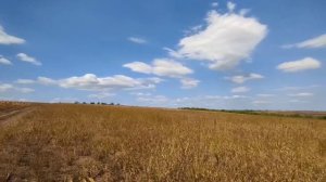 casa parinteasca ......