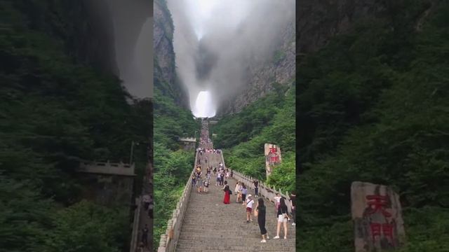 Tianmen Mountain National Forest Park...????