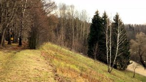 Оздоровительный комплекс "Десна". Ноябрь 2020 г.