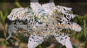 Иоганн Штраус. МУЗЫКА ДОЖДЯ