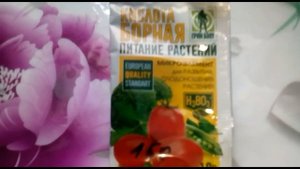 Когда и чем подкормить декабрист?! Секретные супер подкормки..