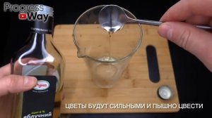 1 Чайная ложечка под любой домашний цветок и пышное цветение вам обеспечено! ТОП 100 рецептов