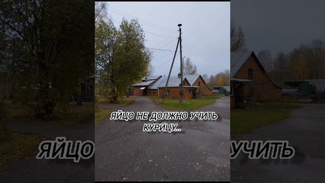 126. Проповеди батюшки Иоанникия. Яйцо не должно учить курицу... смотреть онлайн