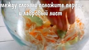 Хрустящая квашеная капуста в банке как приготовить без уксуса в рассоле рецепт