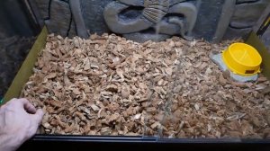 террариум для змей распаковка с Али