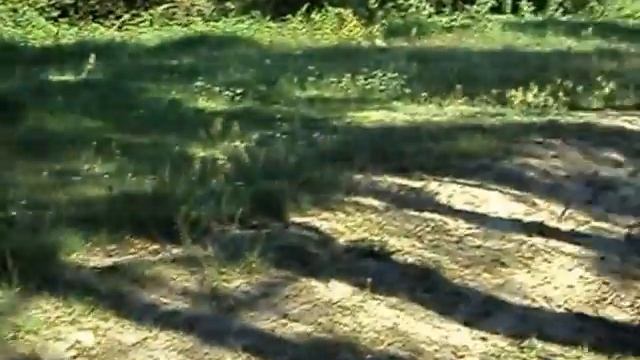 озеро отрадное лен. обл смотреть онлайн