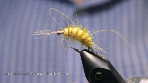 Gammarus. Бокоплав. Зима-Лето. Сочный и Аппетитный!