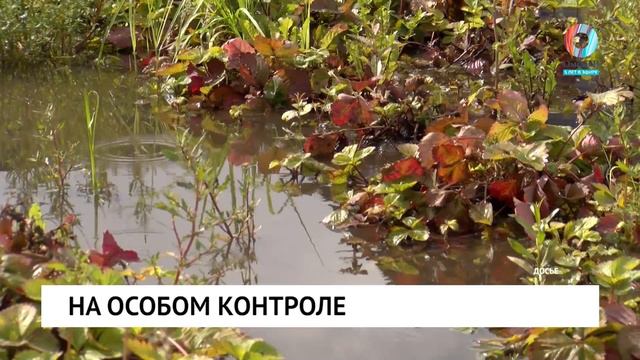 На особом контроле