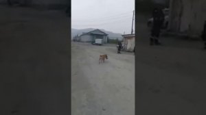 еруда вахта